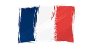 Frankreich zuerst - die Zukunftsvisionen der Marine Le Pen