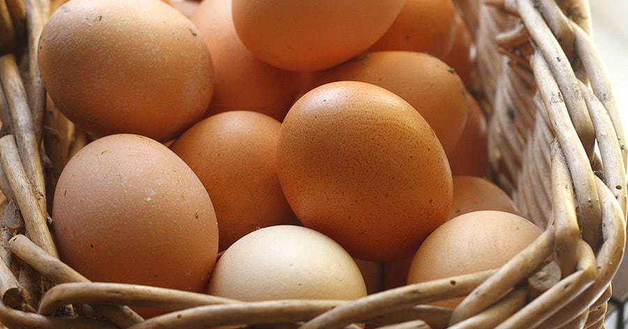 Bio-Eier – alles eine große Lüge?