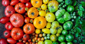 Der neuste Trend - Essen in Regenbogenfarben
