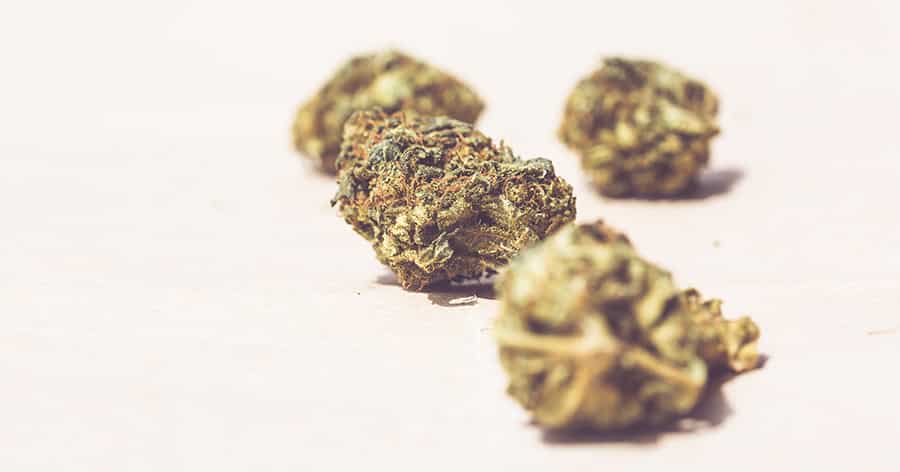 Was ist der Unterschied zwischen CBD- und Cannabisblüten?