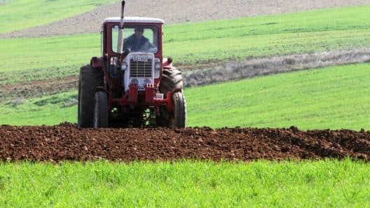 Landjugend und Umweltschützer bemängeln "Ampel"-Agrarpolitik
