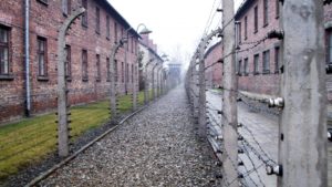 Auschwitz-Komitee will 9. November als Gedenktag