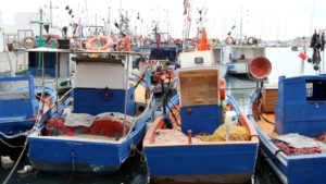 Großbritannien stellt Frankreich im Fischereistreit Ultimatum