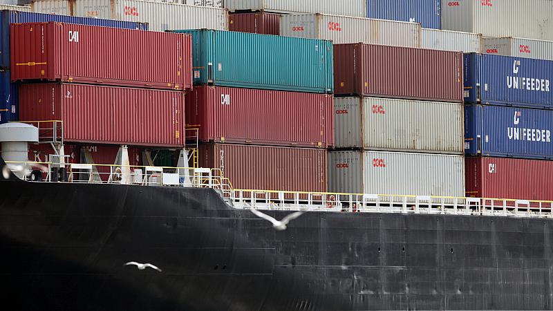 Hofreiter nennt Kabinettsentscheidung zum Hamburger Hafen “naiv”