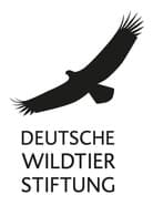 Hilfe für bedrohte Arten - Wildbienenschutz in Berlin wird ...