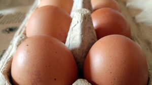 Eierproduktion im Jahr 2021 gestiegen