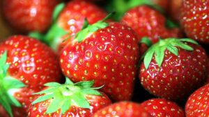 Bauernpräsident ruft zu Erdbeer-Solidaritätskäufen auf