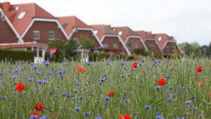 Umfrage: FDP-Wähler wohnen häufiger in großen Wohnungen