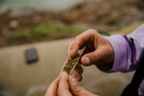 Legalisierung von Cannabis soll den Jugendschutz erhöhen