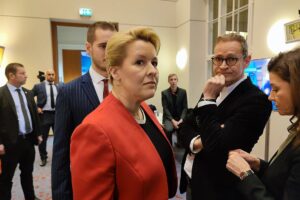 Berliner Jusos drängen Giffey zur Aufgabe von Parteivorsitz