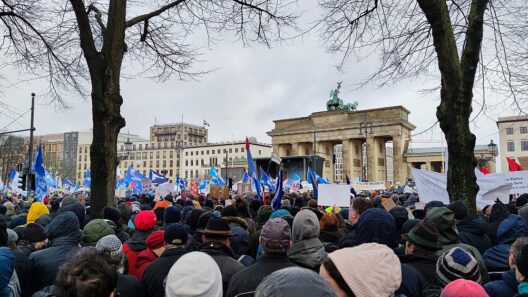Linken-Vize kritisiert Wagenknecht nach Auftritt bei Demo