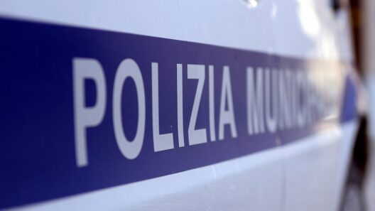 43 `Ndrangheta-Mitglieder in Italien festgenommen