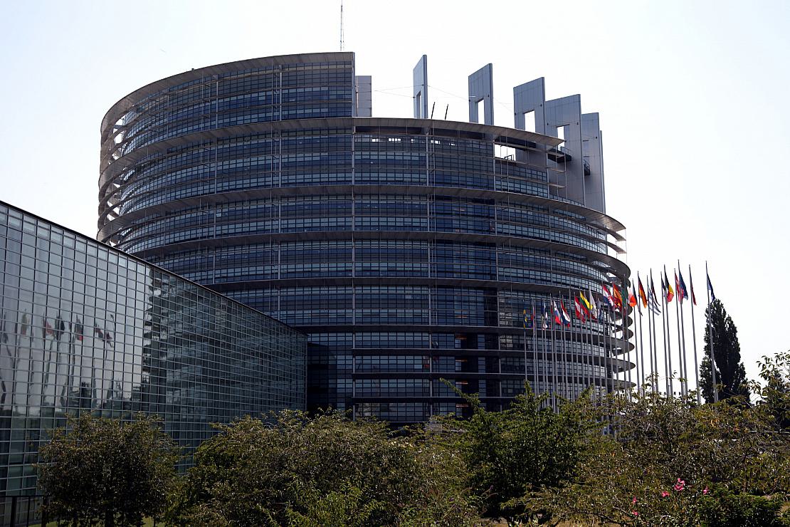 Renaturierungsgesetz überlebt Abstimmung im EU-Parlament