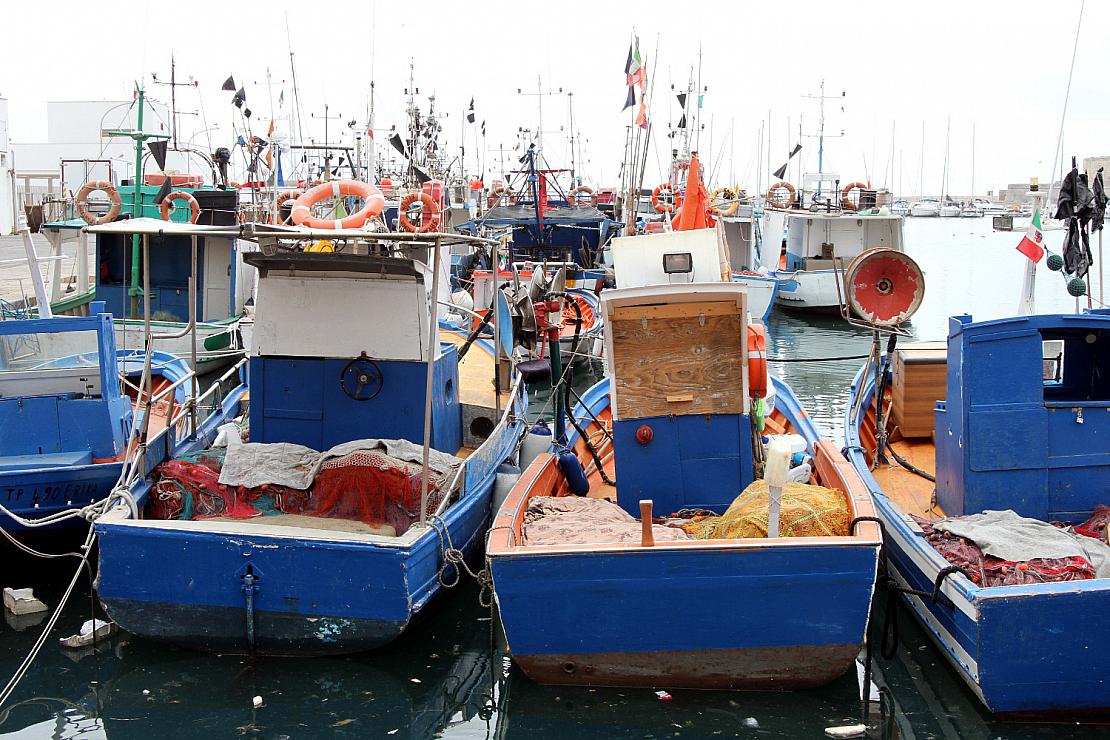 EU-Fischereirat erhöht Nordsee-Fangmengen