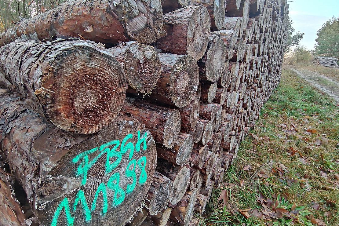 Kritik bei Grünen zu Holzheizungen im GEG