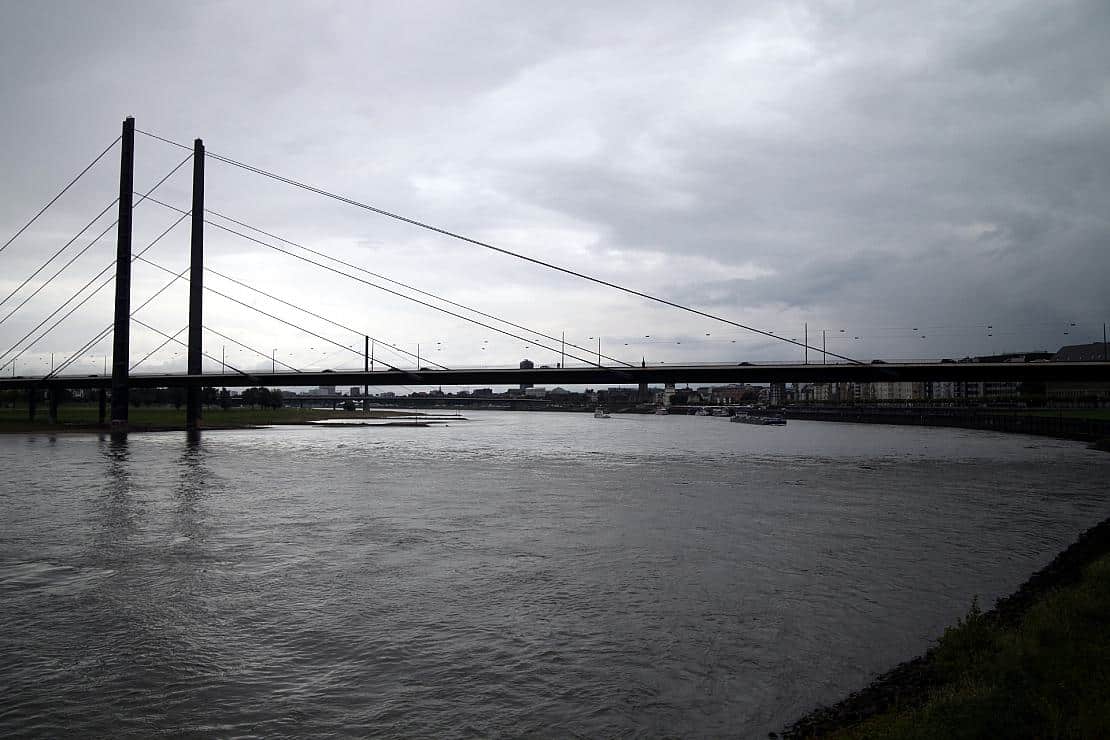 Ökonomen uneins über Folgen des Niedrigwassers im Rhein