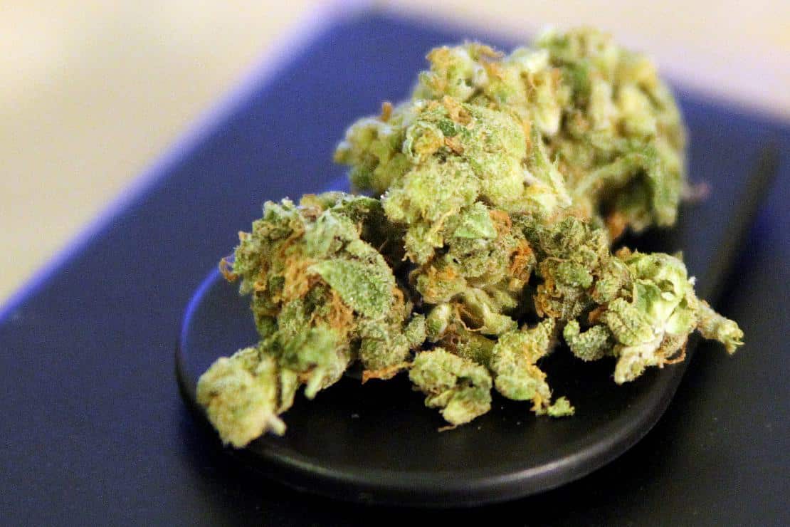 SPD-Innenminister warnen vor Cannabis-Legalisierung
