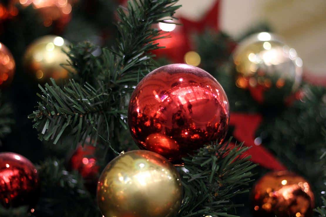 Immer weniger Online-Käufe von Weihnachtsbäumen