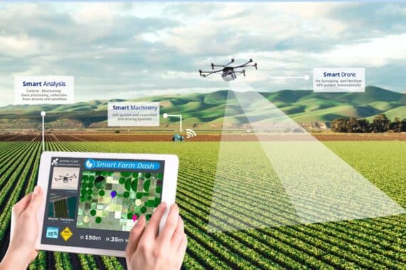Precision Farming und Wetter-APIs: Optimierung landwirtschaftlicher Prozesse