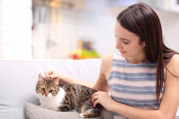 Katzenhaltung für Anfänger – von Katzenfutter bis Katzentasche