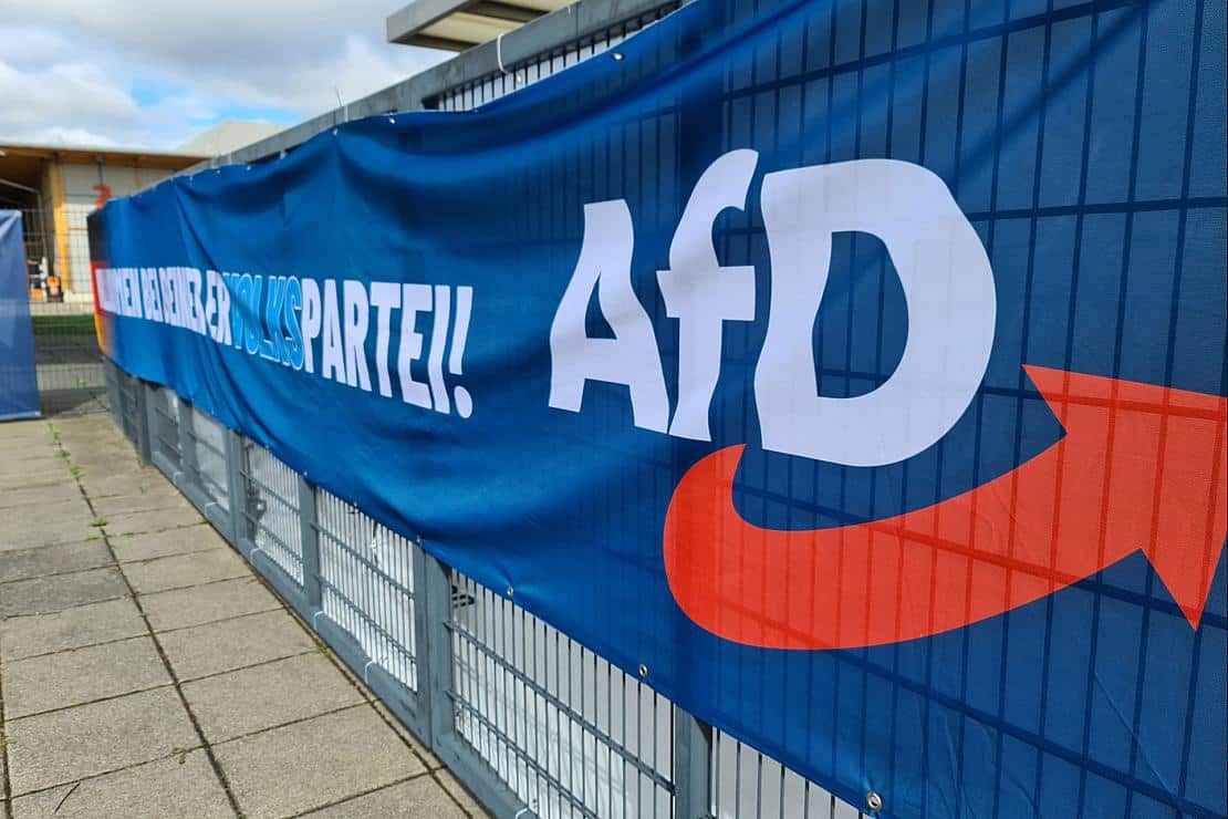 AfD in Umfrage zu Ost-Landtagswahlen stärkste Kraft