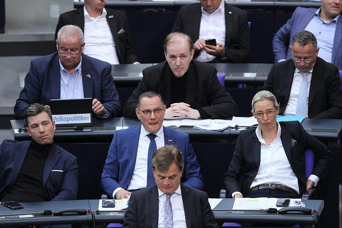 FDP verteidigt Umgang mit AfD in Bundestags-Ausschüssen