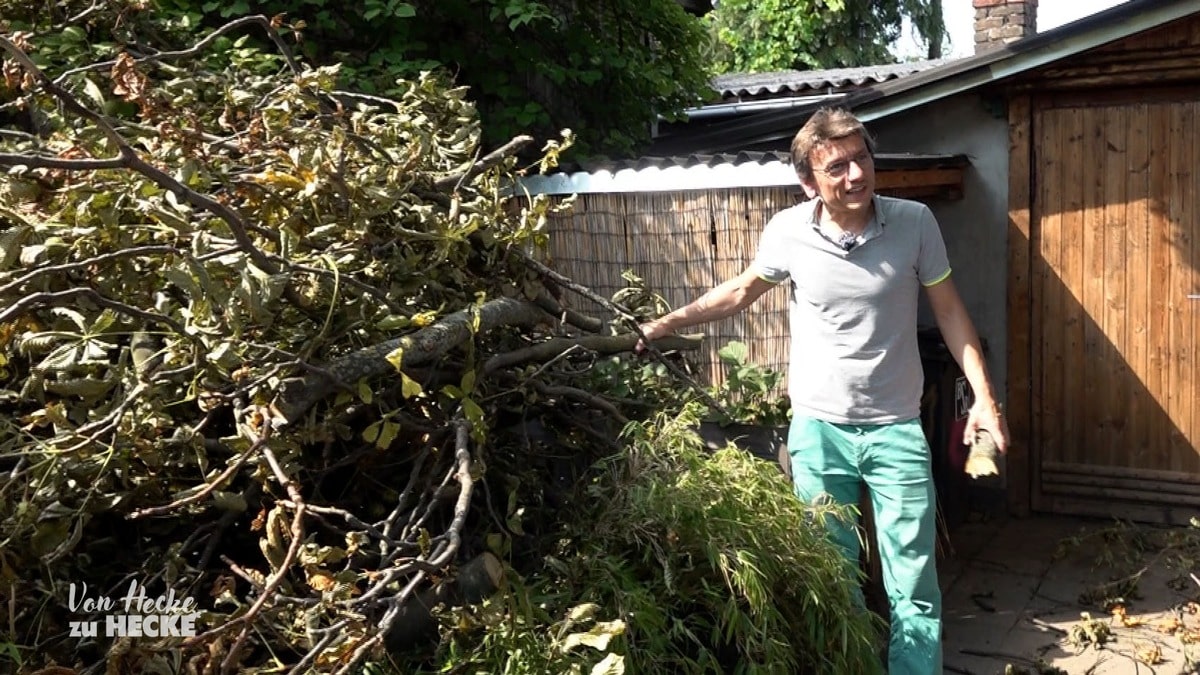 Diese Woche bei “Von Hecke zu Hecke – Bunte Beetgeschichten”: Sturmtief sorgt für Verwüstung in der Kleingartenanlage …