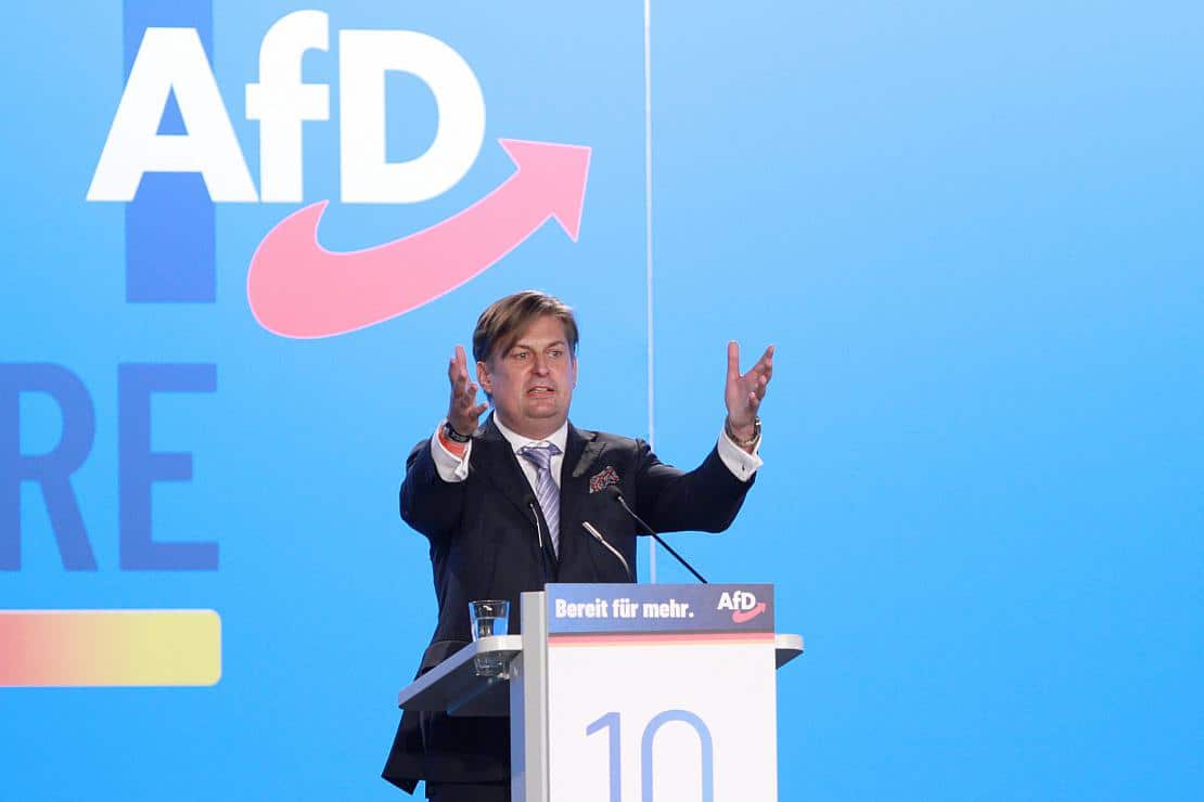 Insa: AfD verliert in Europawahl-Umfrage