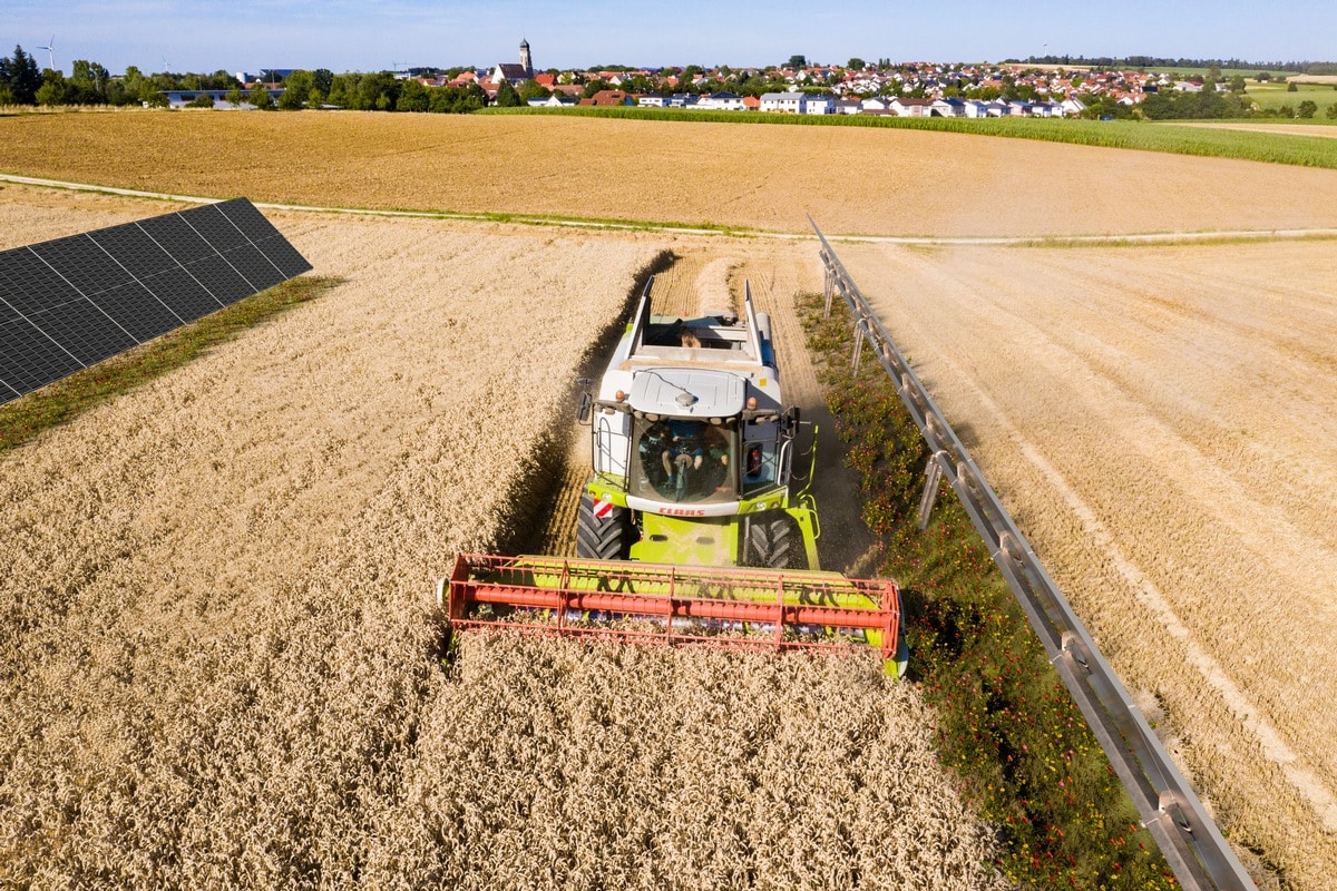 Sonne und Acker: Agri-PV als Chance für Energie- und Landwirtschaft